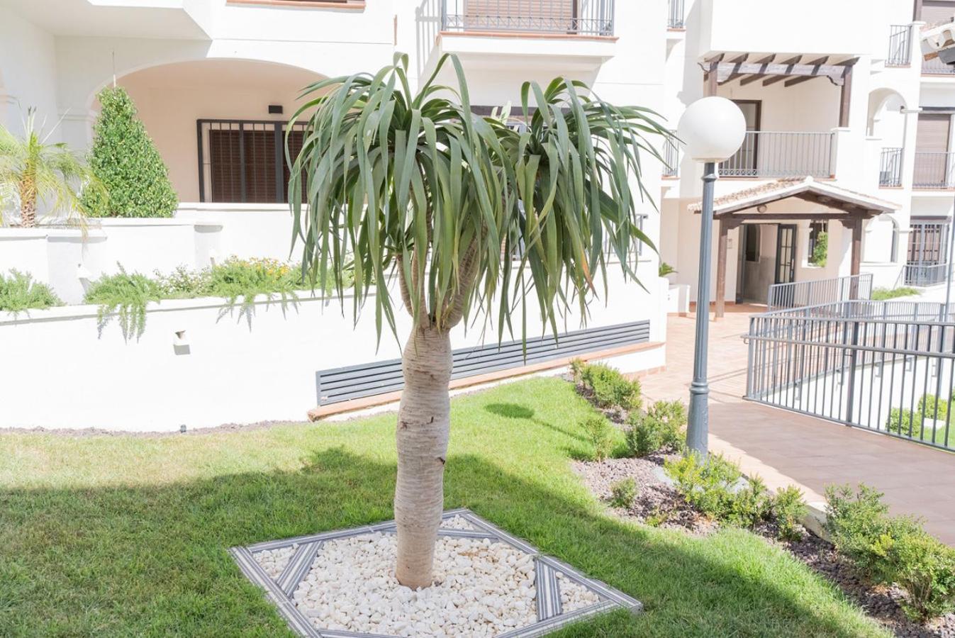 Todimer New Pueblo Mediteraneo Itrabo 外观 照片
